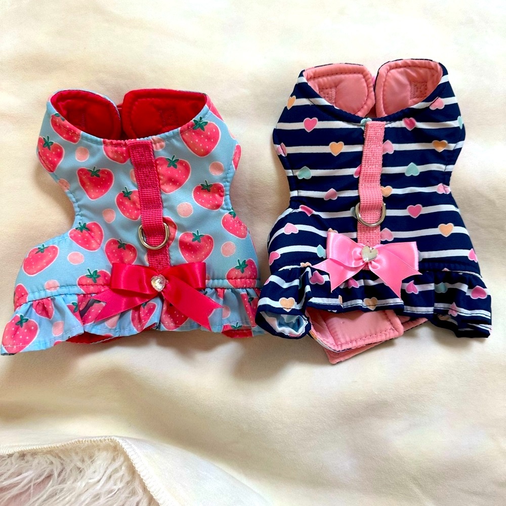 Summer Fun Harness Set